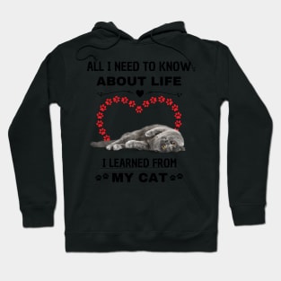 All I Need To Know About Life I Learned From My Cat Hoodie